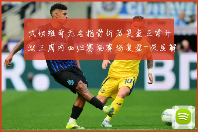 武切维奇无名指骨折若复查正常计划三周内回归赛场赛场复盘-深度解析