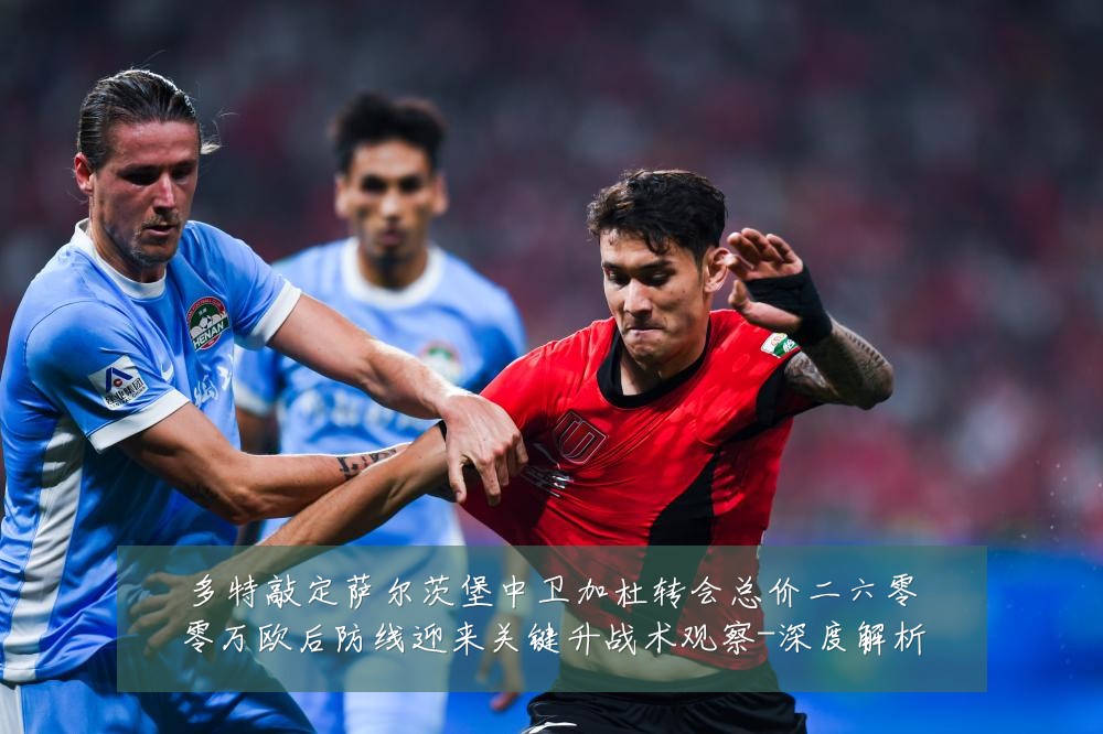 多特敲定萨尔茨堡中卫加杜转会总价二六零零万欧后防线迎来关键升战术观察-深度解析