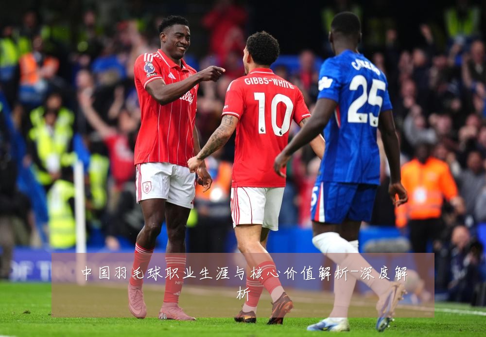 中国羽毛球职业生涯与核心价值解析-深度解析