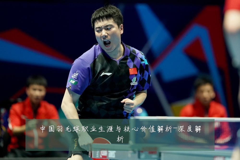 中国羽毛球职业生涯与核心价值解析-深度解析